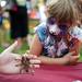 Leslie Science and Nature Center employee David Clipner showcases a rose tarantula to Milan resident Kate Gelsanliter, 7, during the Townie Street Party on Monday, July 15. Daniel Brenner I AnnArbor.com